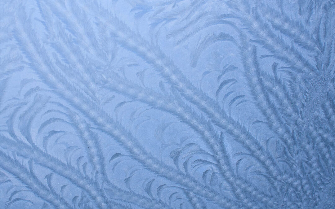 Jack Frost