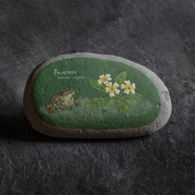 Primrose and Toad painted stone by Kerrie Ann Gardner
