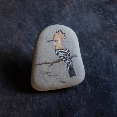Hoopoe Painted Stone by Kerrie Ann Gardner